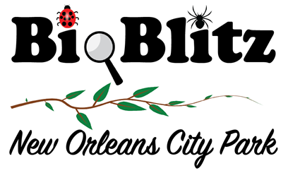 BioBlitz New Orleans City Park