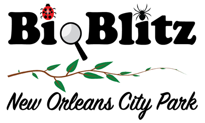 Bioblitz