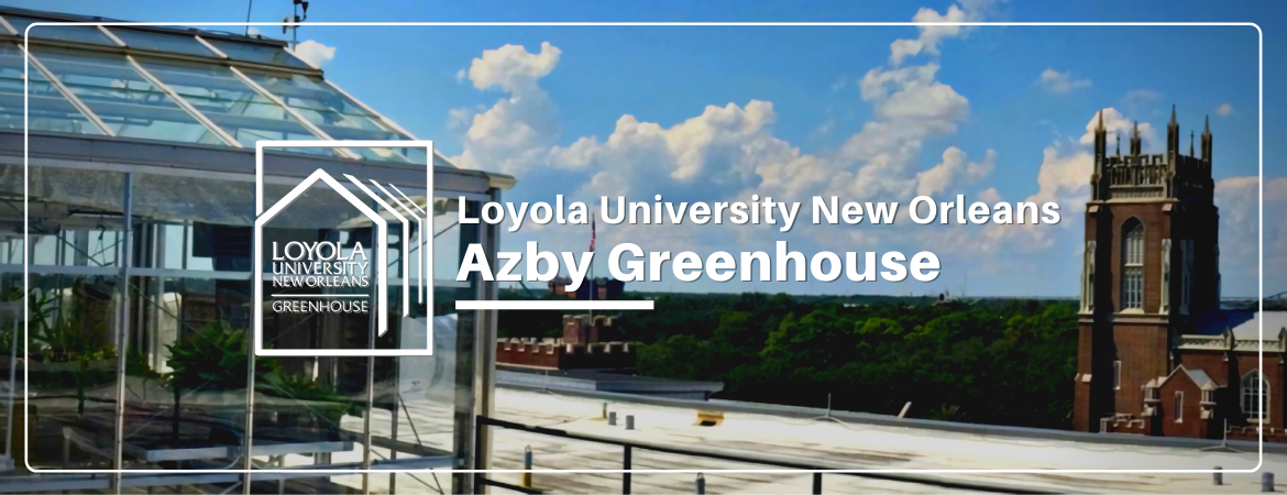 Azby Greenhouse at Loyola University