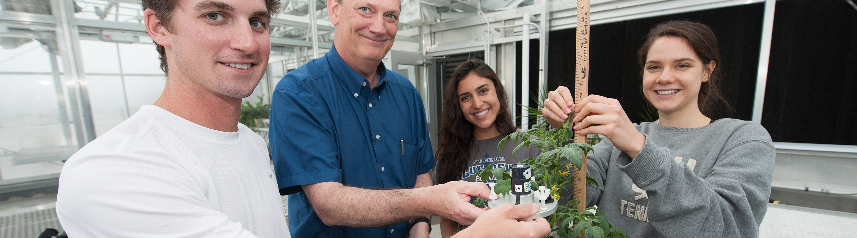 Academic Research in Azby Greenhouse