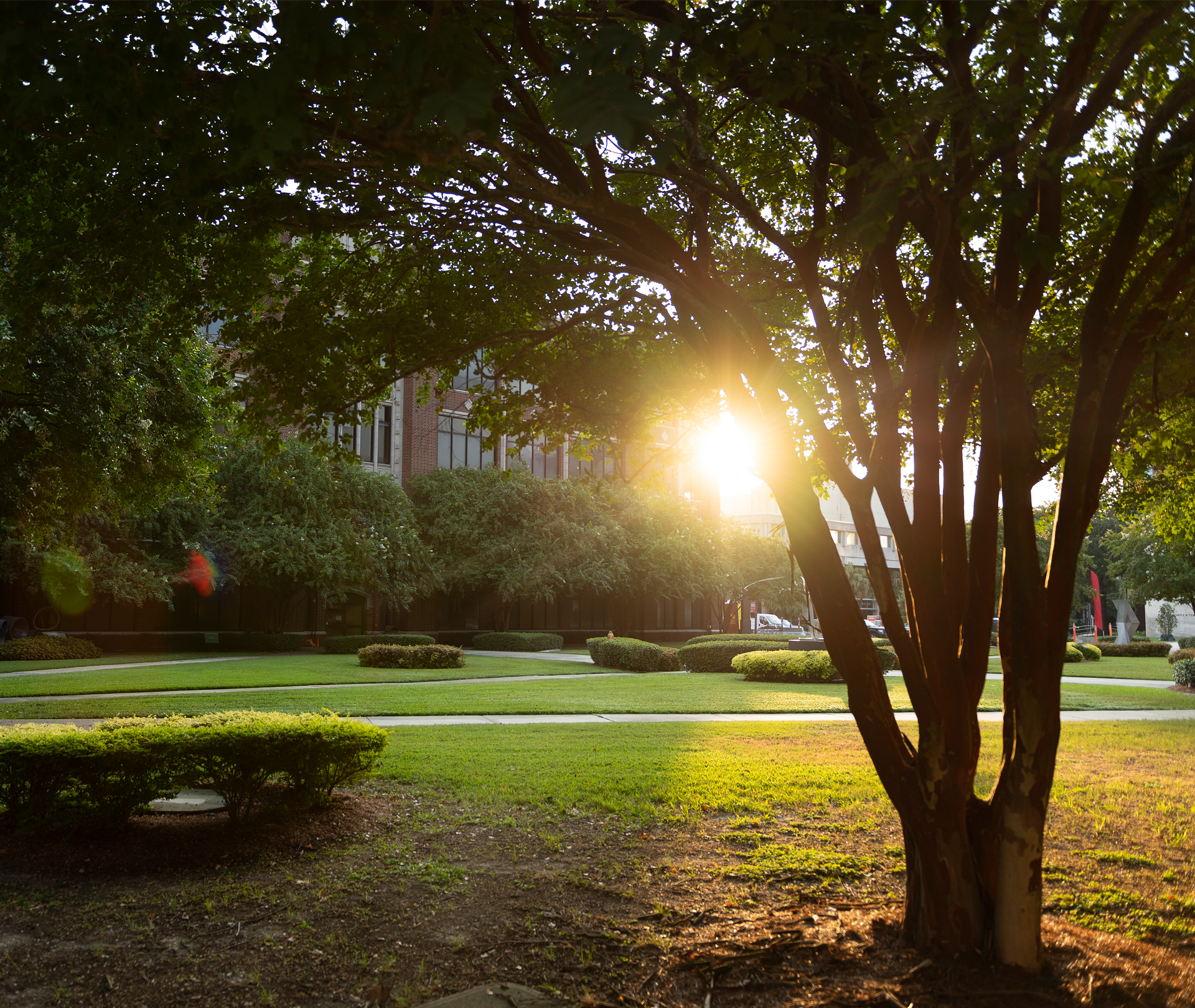 Campus Light