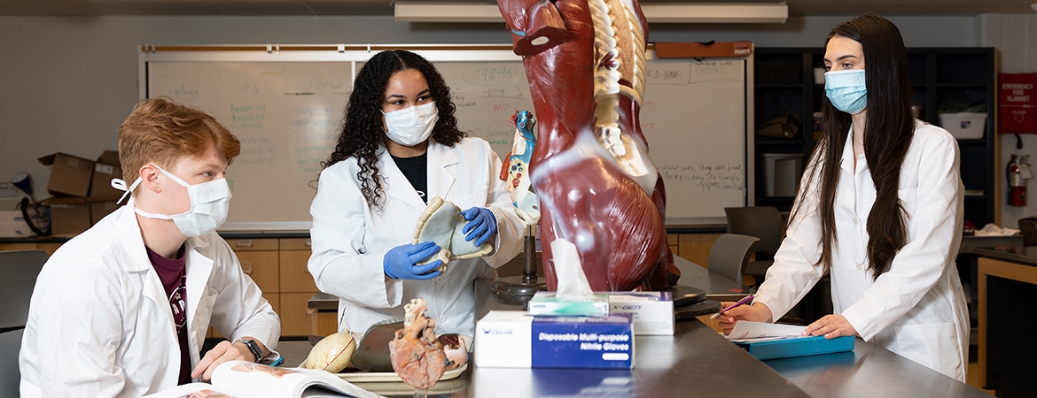 Three Students Studying Anatomy