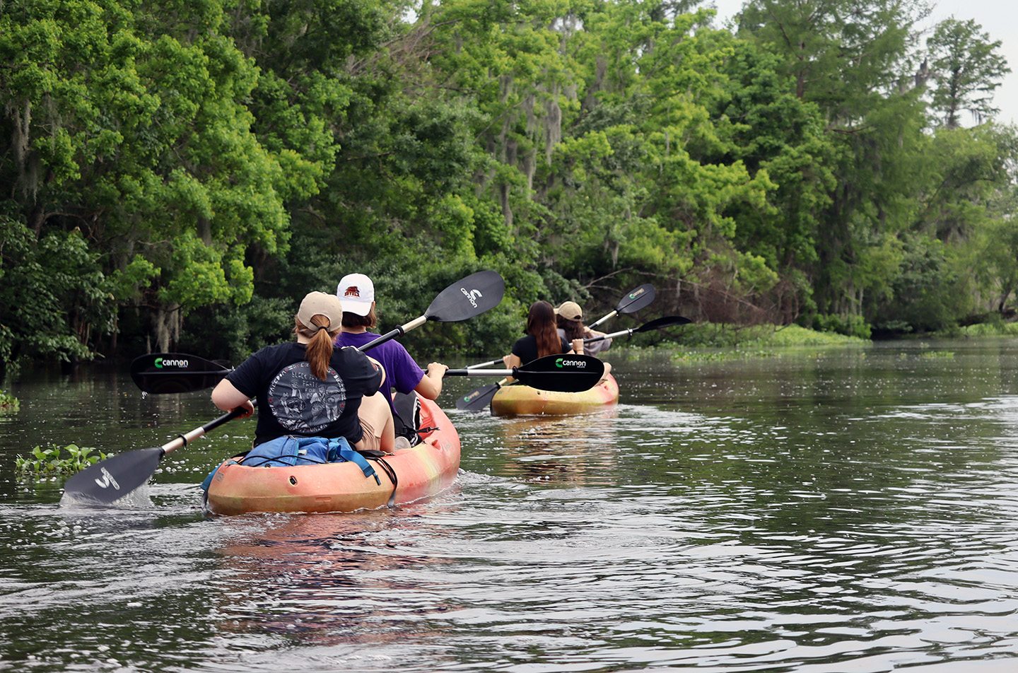 four people canoing in Manchac Swamp