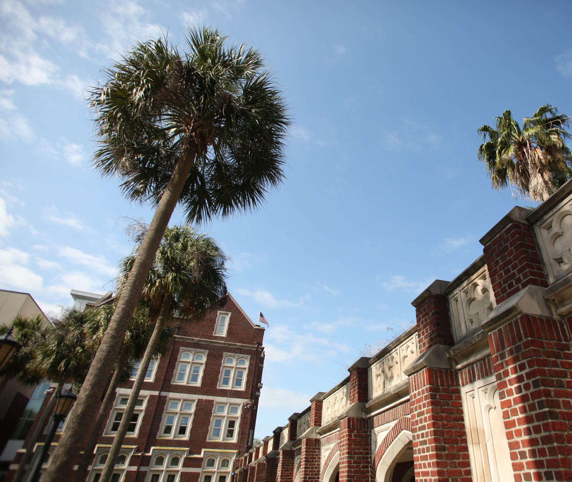 Public Health in a Pandemic