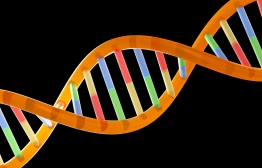Biochemistry