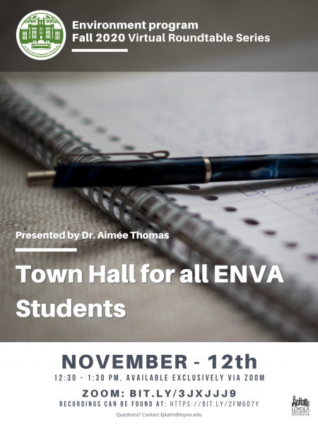 Roundtable Nov 2020