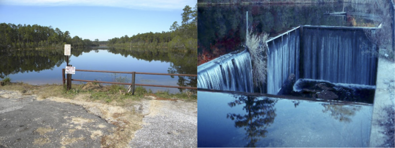 College Pond for Darter Research
