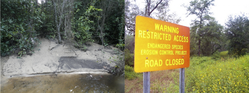 Erosion Restoration