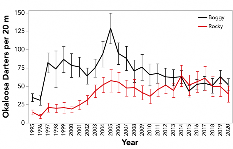 Long-Term Research Trend
