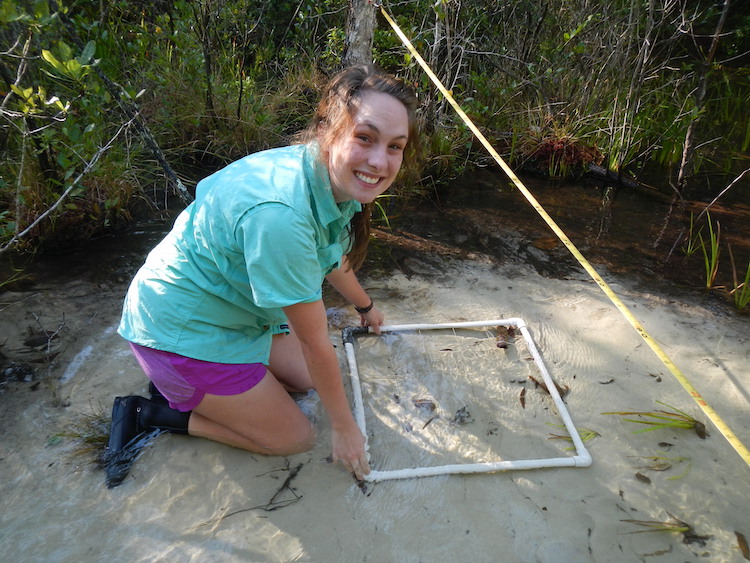 Mallory Quadrat - Darter Research