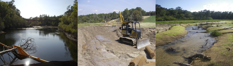 Habitat Restoration