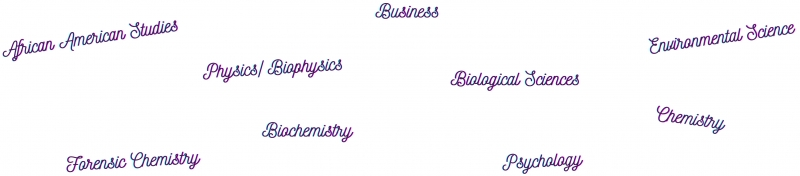 Prospective Courses